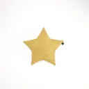 Star Cushion
